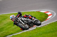 anglesey;brands-hatch;cadwell-park;croft;donington-park;enduro-digital-images;event-digital-images;eventdigitalimages;mallory;no-limits;oulton-park;peter-wileman-photography;racing-digital-images;silverstone;snetterton;trackday-digital-images;trackday-photos;vmcc-banbury-run;welsh-2-day-enduro
